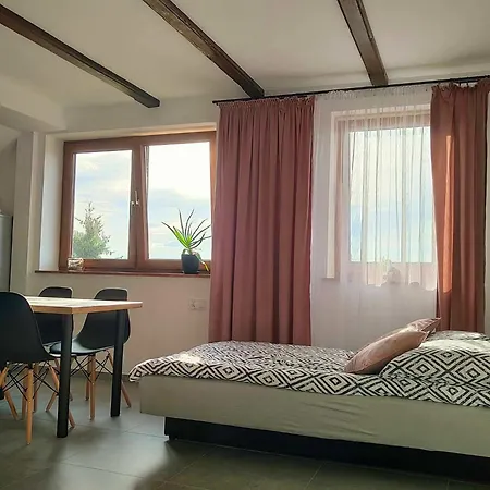 U Anety Apartment Wilkasy (Gizycko)